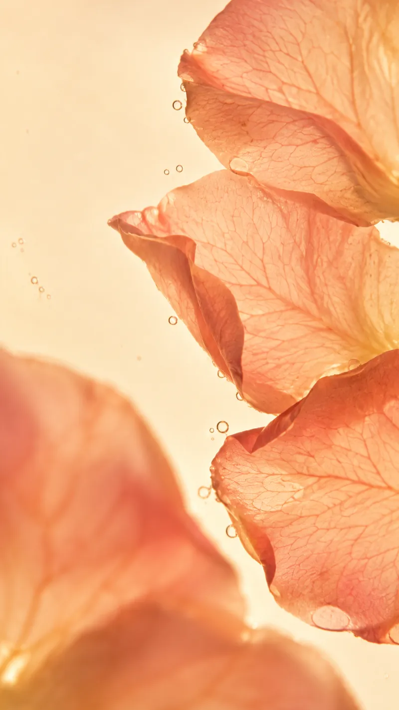 Translucent peach rose petals and small bubbles suspended in water.